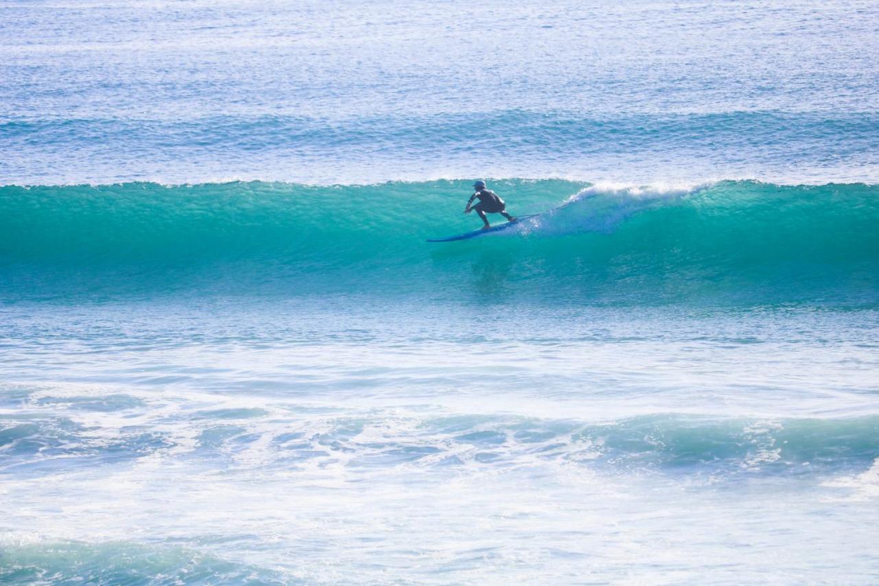 Aotearoa Surf Eco Pods 호텔 Te Arai 외부 사진