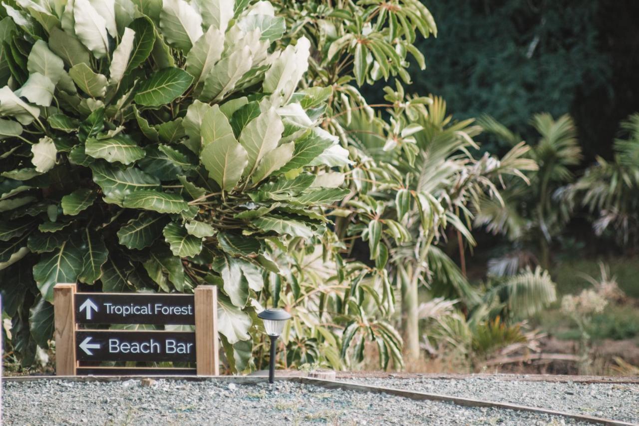 Aotearoa Surf Eco Pods 호텔 Te Arai 외부 사진